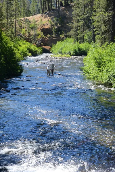 DSC_9893 (Large).JPG